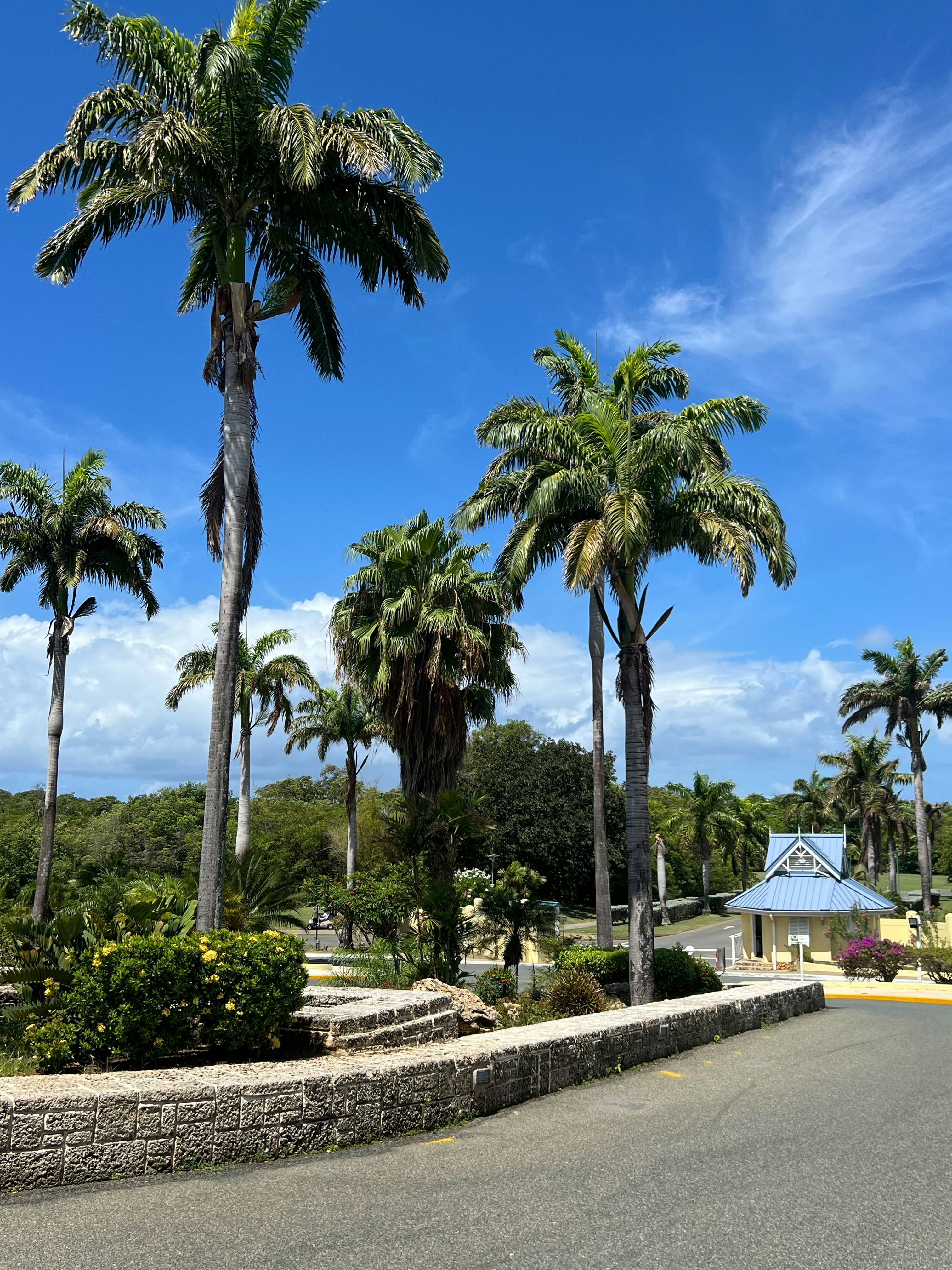 Aerial view of tropical Pacific coastline