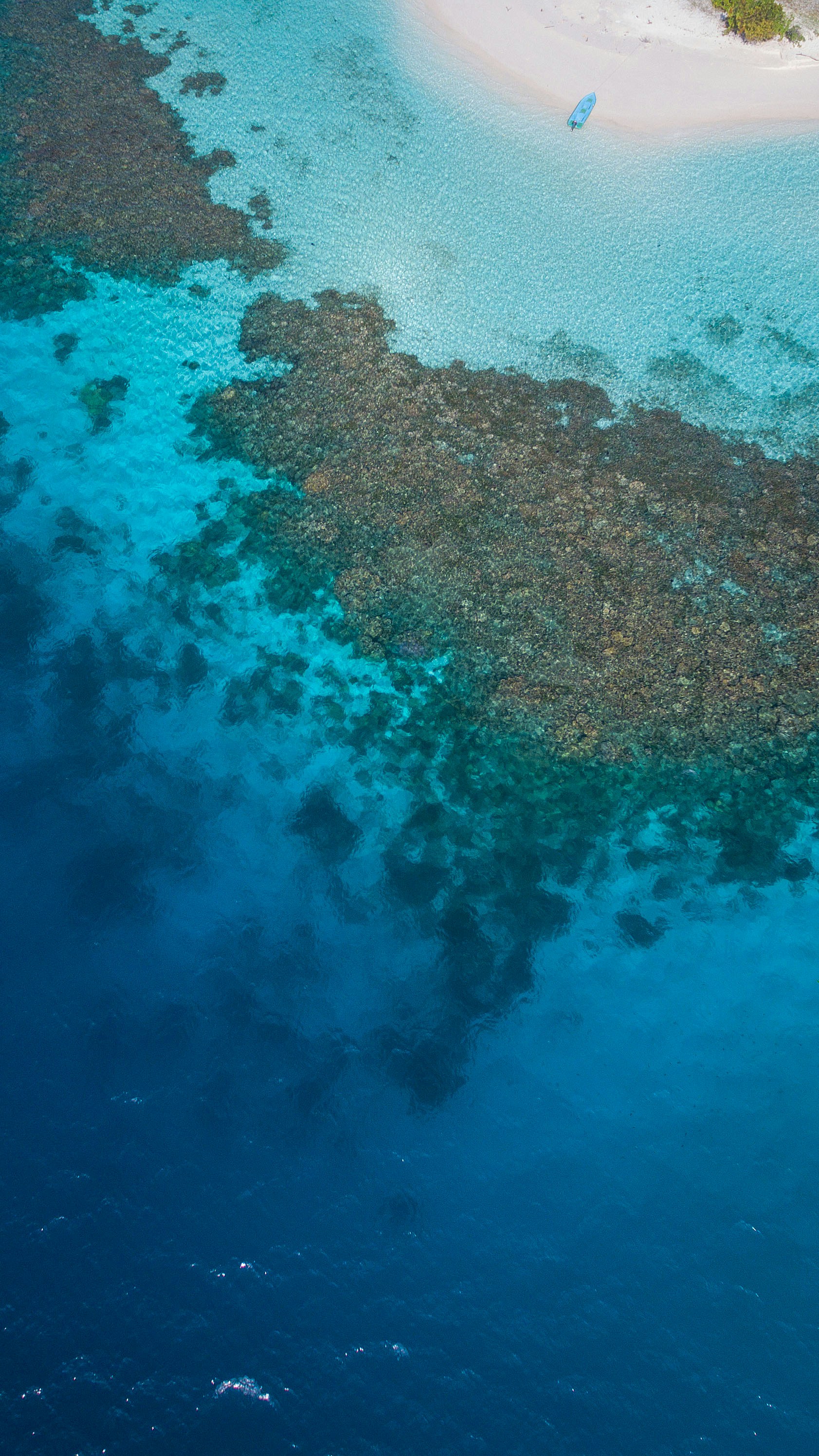 Aerial view of coral reef, turquoise shallows and sandy shore