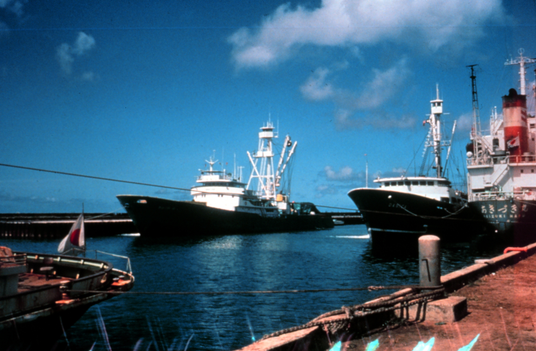 Modern tuna purse seine vessel at sea